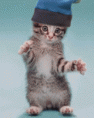 /album/animacie-/snimek028-1-gif/